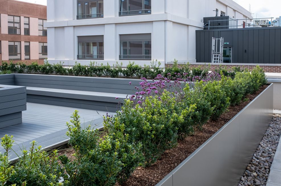 Communal Roof Garden Planters, Composite Decking Clad Custom Garden